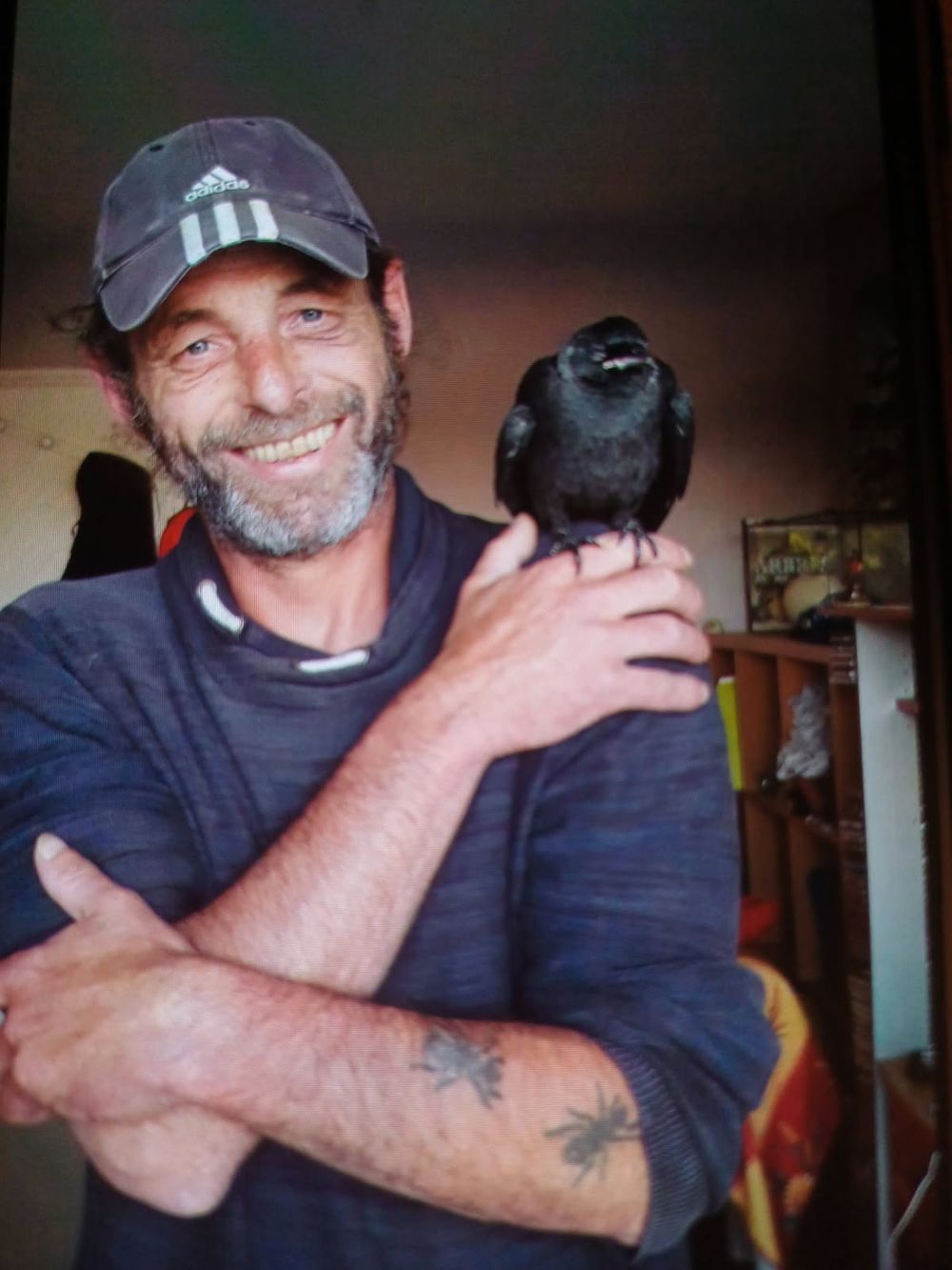 Profil de Ronan HERVO