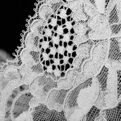 Profil de Alain CARPENTIER