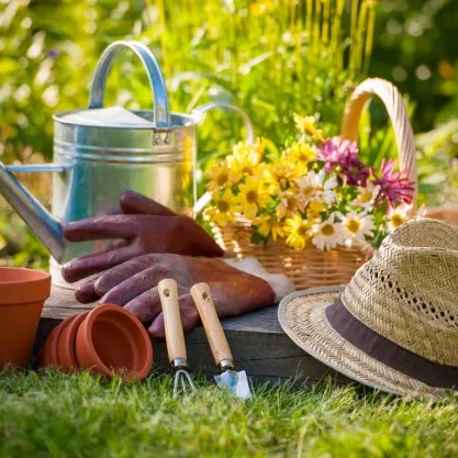 Profil de Jackie  POULAIN