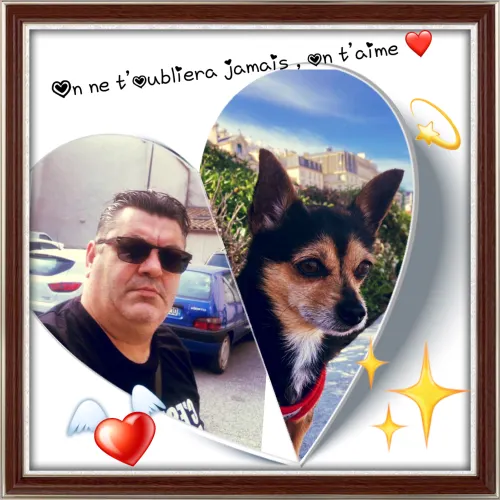 Profil de Nuno Rebelo