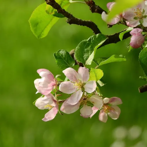 Profil de Jean-Claude DALLET