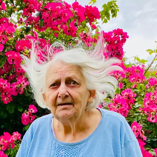 Profil de Claudine MORICHON-HAMEL