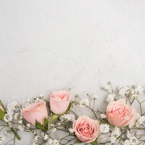 Profil de Janine PINNA