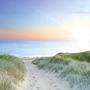 Profil de Serge SOYER