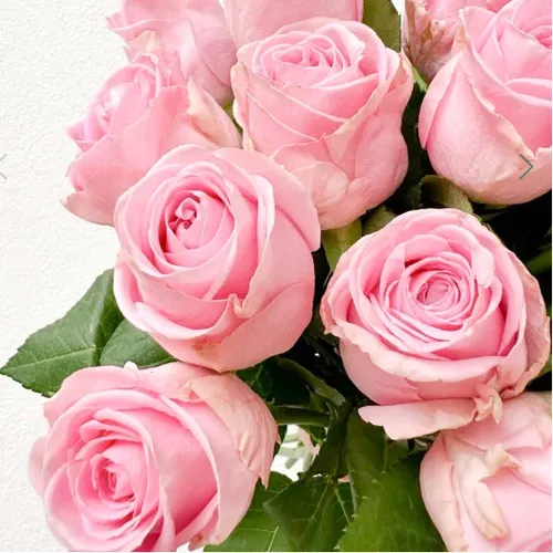 Profil de Patricia HECQUET DE BEAUFORT