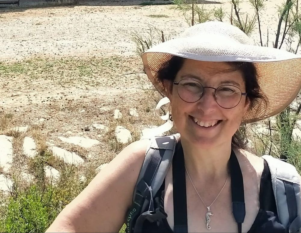 Profil de Michèle-Andrée AMOROS née DESSOLIN