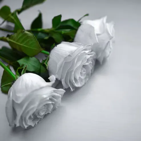 Profil de Claude BEAUFILS