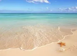 Profil de Danièle MAIRE