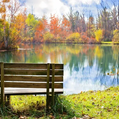 Profil de Alain ROLLAND