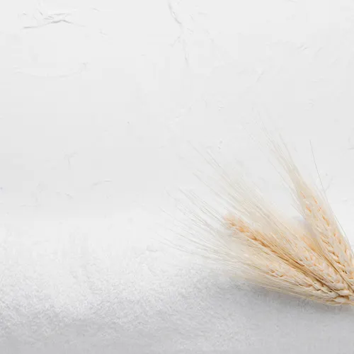 Profil de Raymonde SZAJDA