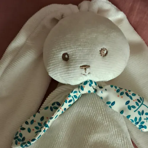 Profil de Éloïse Colette CORYN