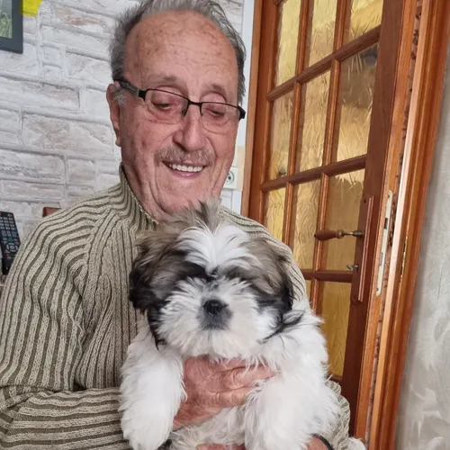 Profil de Fernand BALDINI
