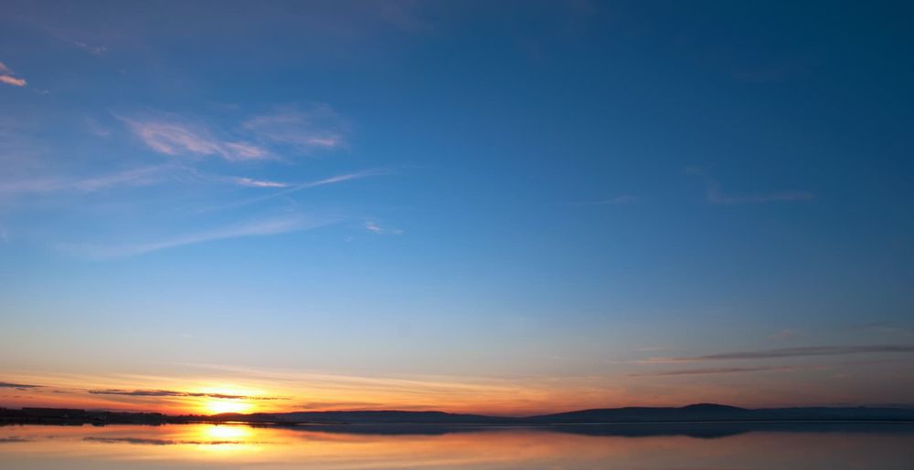 Profil de Nicole DUBUS