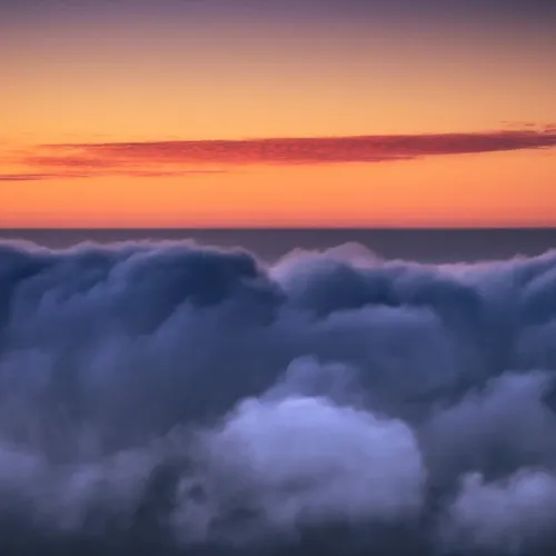 Profil de Marie MANIQUE