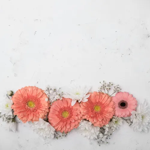 Profil de Andrée BANACH