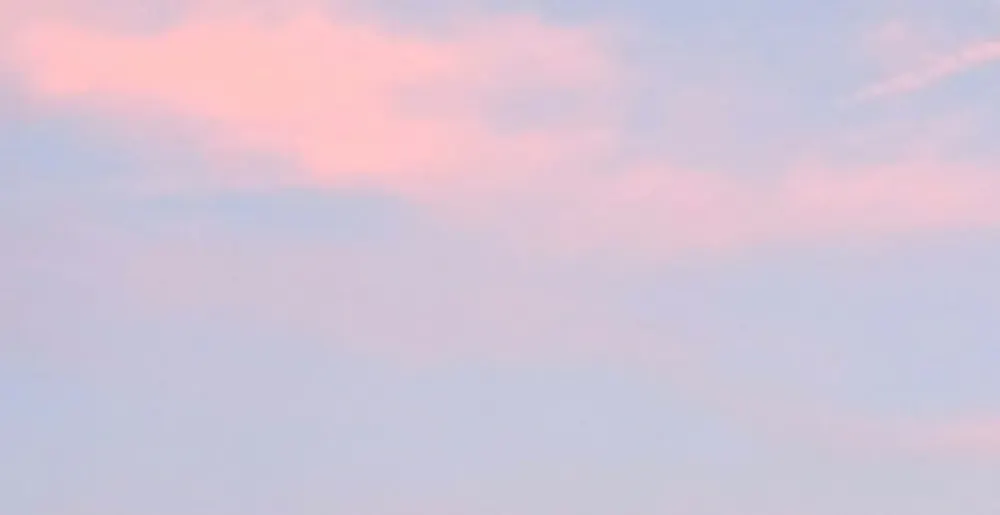 Profil de Stanislas BARTOSZEK