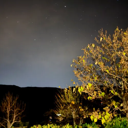 Profil de Yvette BAIETTO