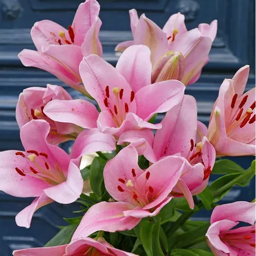 Profil de Renée HUET