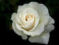 Profil de Louisette HEMON