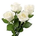 Profil de Anna-Yvette LE SOURNE