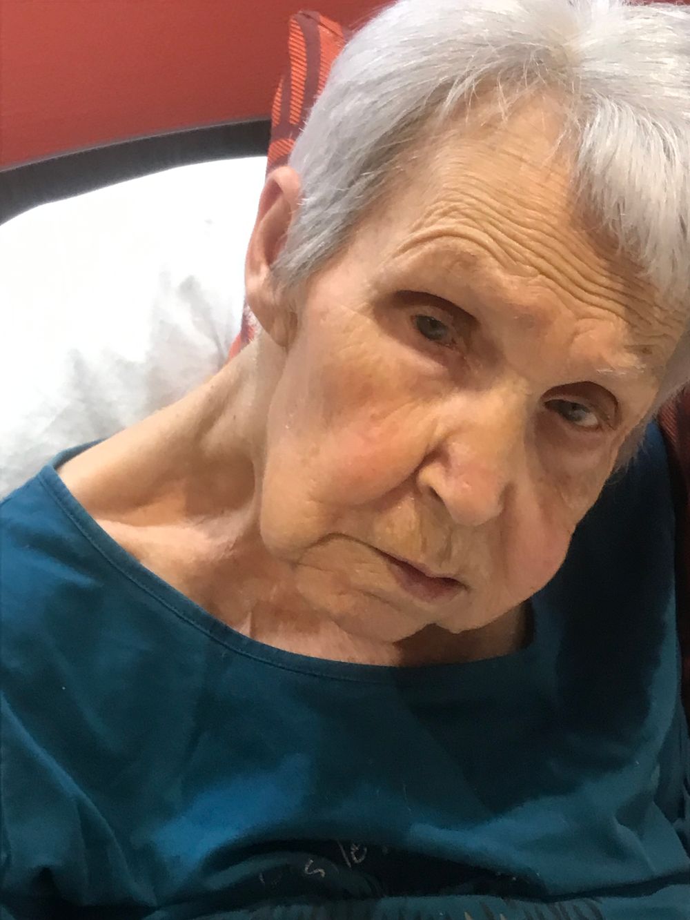 Profil de Gisèle GUERRI