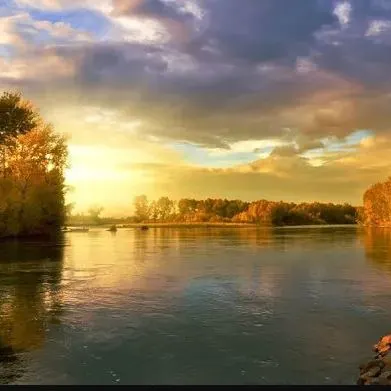 Profil de Guy COURBE