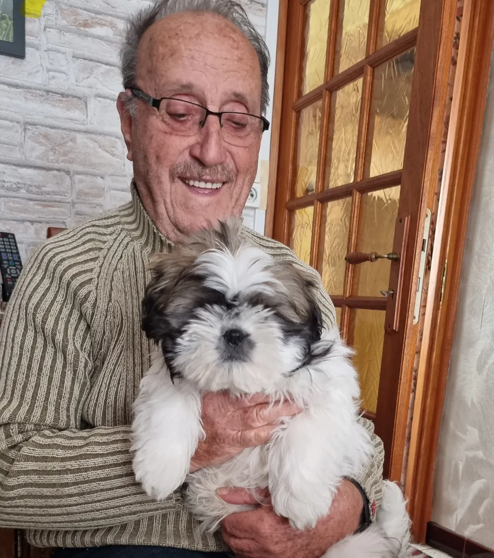 Profil de Fernand BALDINI