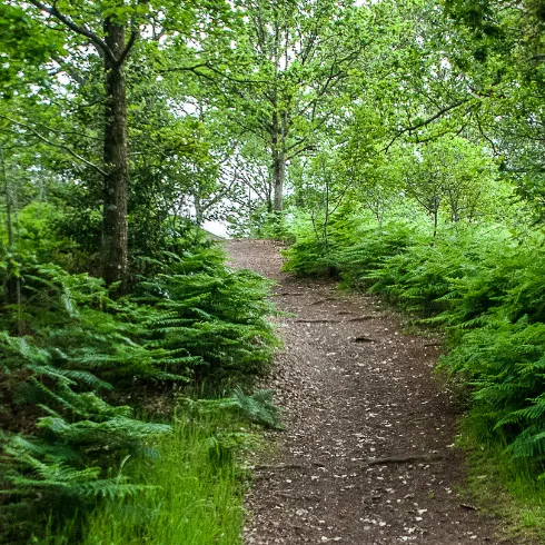 Profil de Louis COUDREAU
