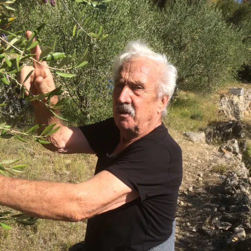 Profil de Joseph TOLLARDO