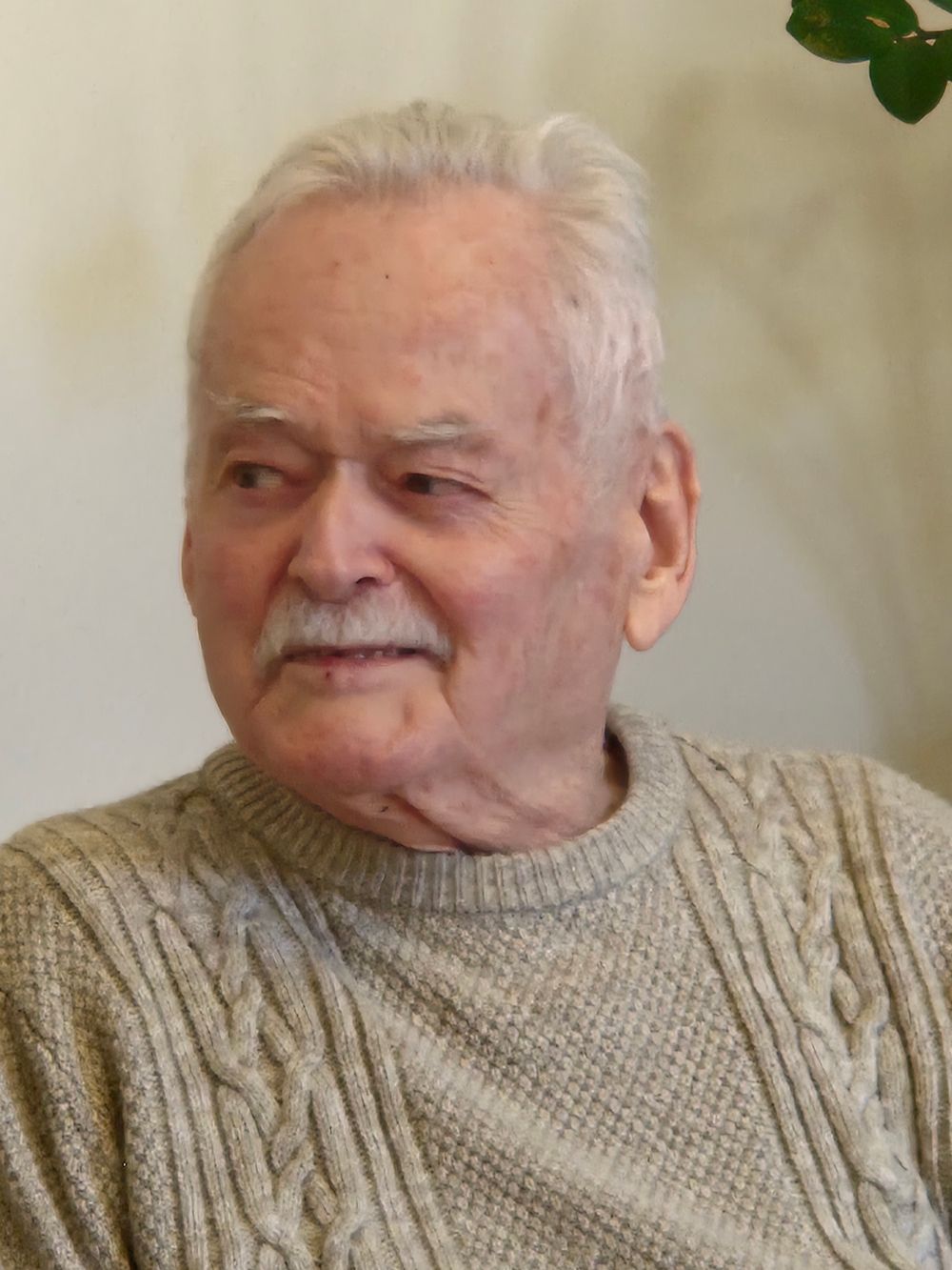 Profil de Pierre LE GUELVOUIT