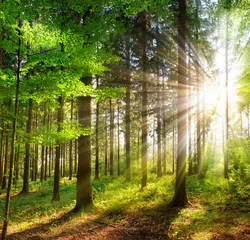 Profil de Angéle WAGNEZ