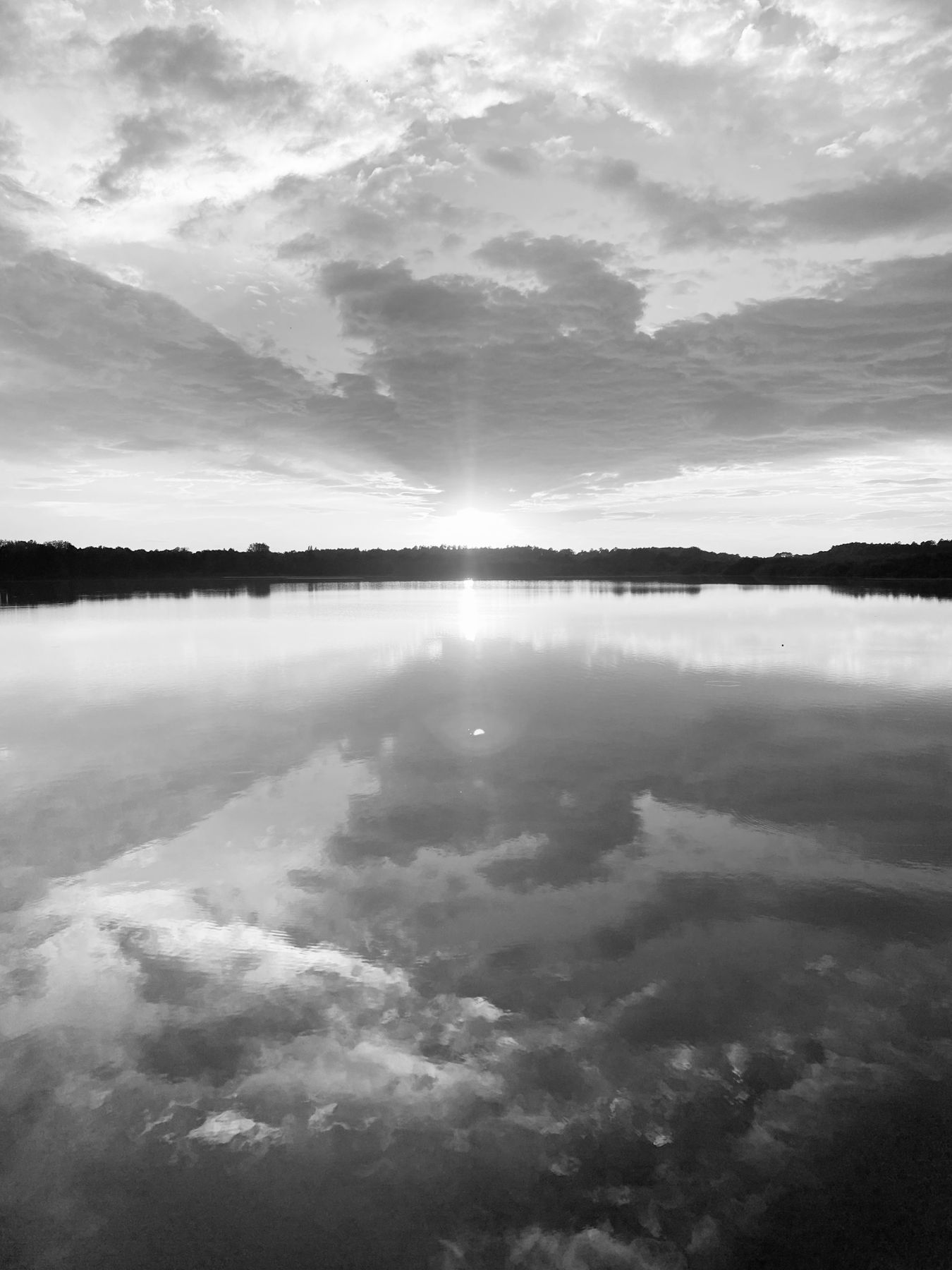 Image Alain COURTINAT