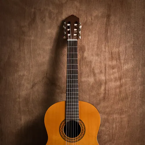 Profil de André CRUSSON