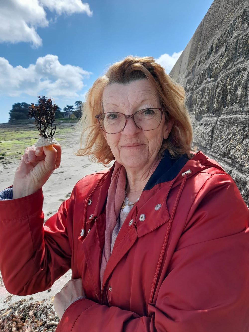 Profil de Marylène BRANSIECQ