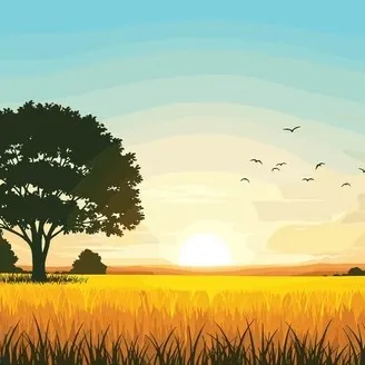 Profil de Pierre JÉGOU