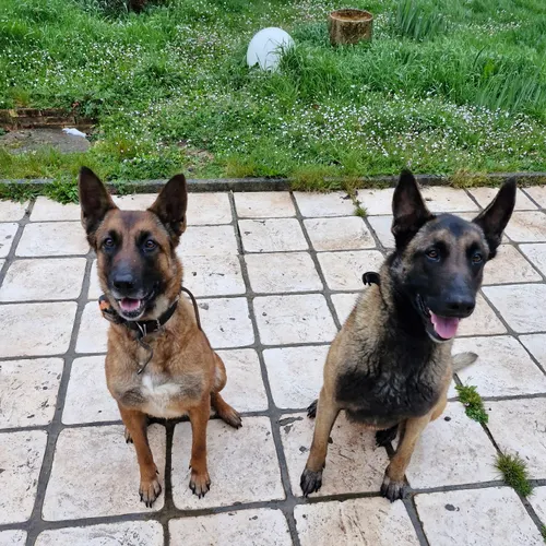 Profil de Valérie ROCABOY