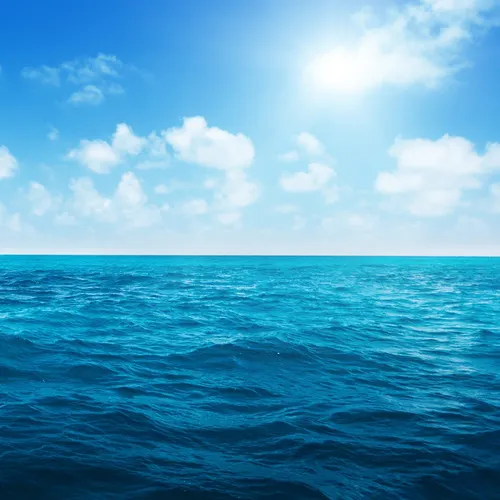Profil de Christiane HAILLARD