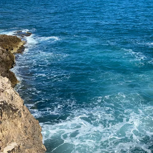 Profil de Josephe  DE MORI 