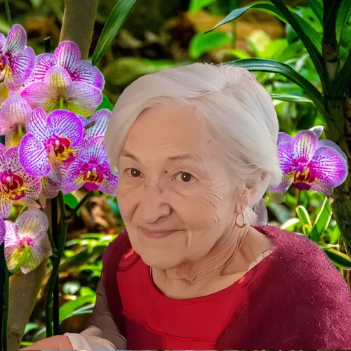 Profil de Marie-Brigitte LASFARGEAS