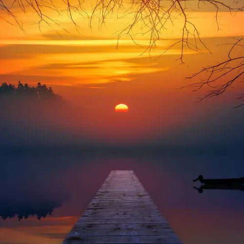 Profil de Jeannine DELANDINE