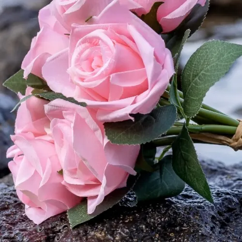 Profil de Christina  ZELASKA