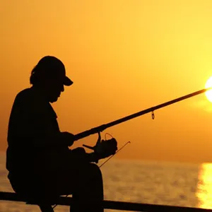 Profil de Sébastien CAILLON