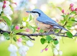 Profil de Raymond BUON