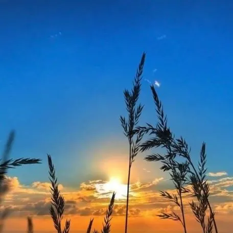 Profil de Adrien FAUCHON