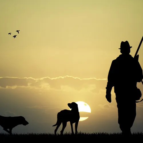 Profil de Camille BERGER