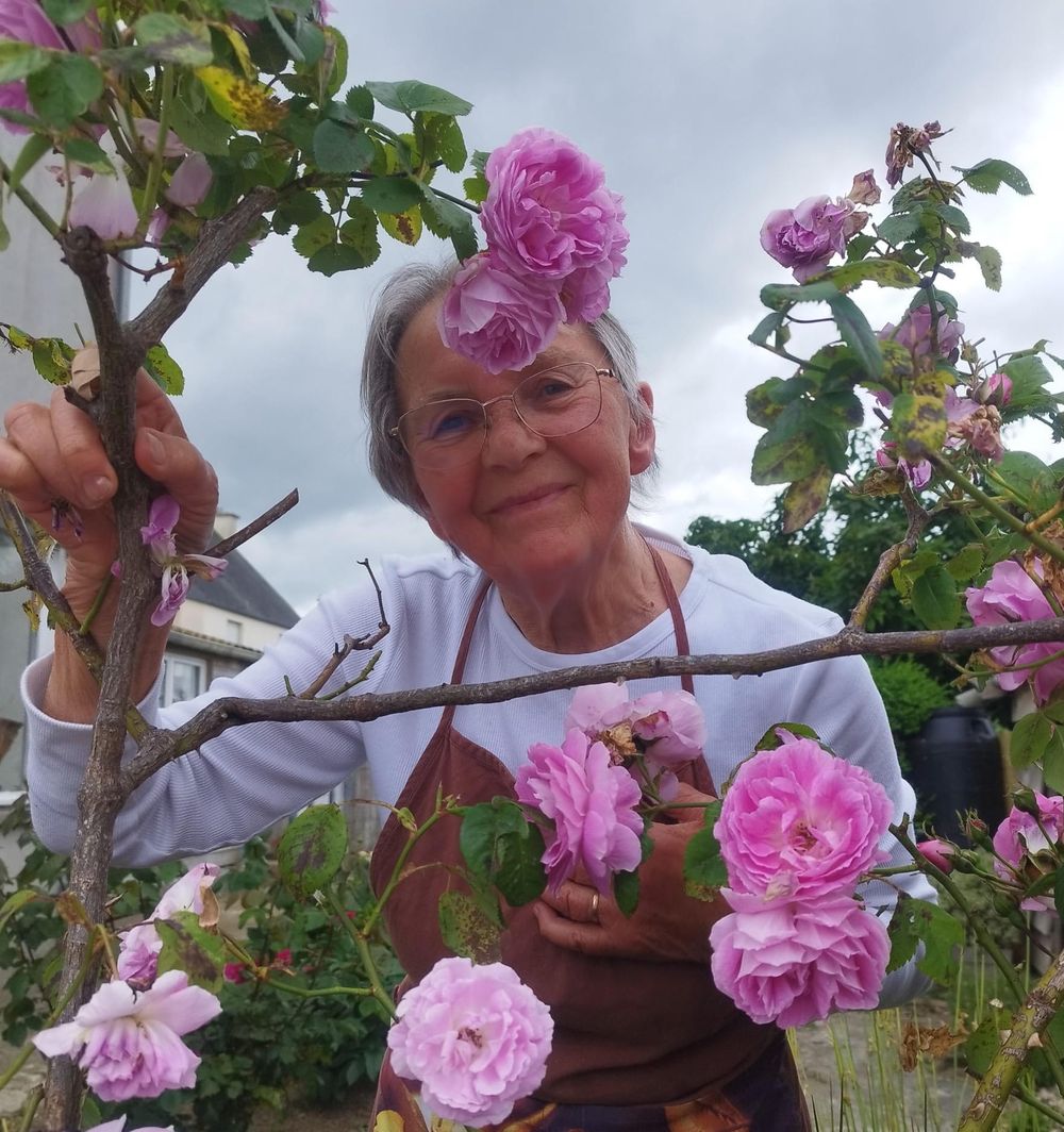 Profil de Jeanne FILY