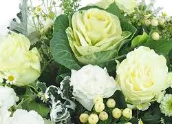 Profil de Thérèse LE BRETON