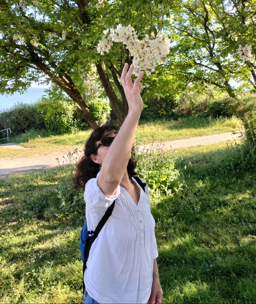 $"Souvenir