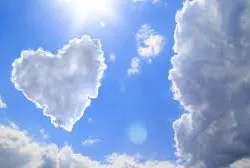 Profil de BERNARD VIRFOLLET