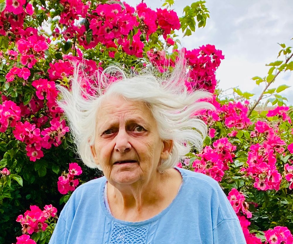 Profil de Claudine MORICHON-HAMEL